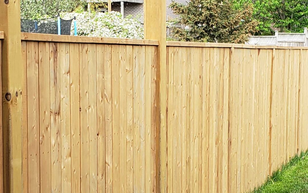 Keep Your Fence Looking Fresh with Barrettine Wood Protective